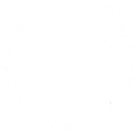 SFAAF South Cinematographic Academy Film & Arts — Best Documentary