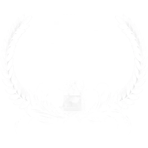 FICOCC Five Continents International Film Festival — Best Director
