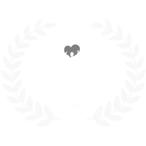 FIC Santiago 2023 — Official Selection