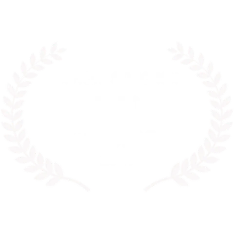 Anima Cinefest 2024 — Official Selection