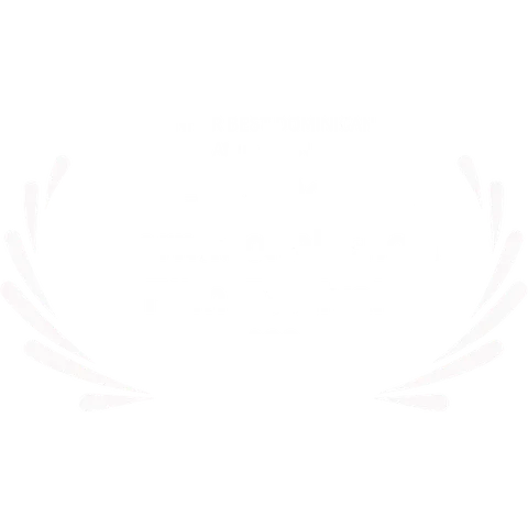 Libélula Dorada International Short Film Festival 2023 — Winner, Best Dominican Animation